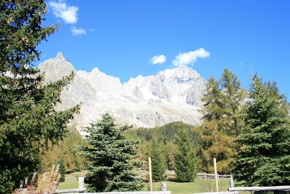 Hotel Locanda Belvedere Courmayeur Bagian luar foto